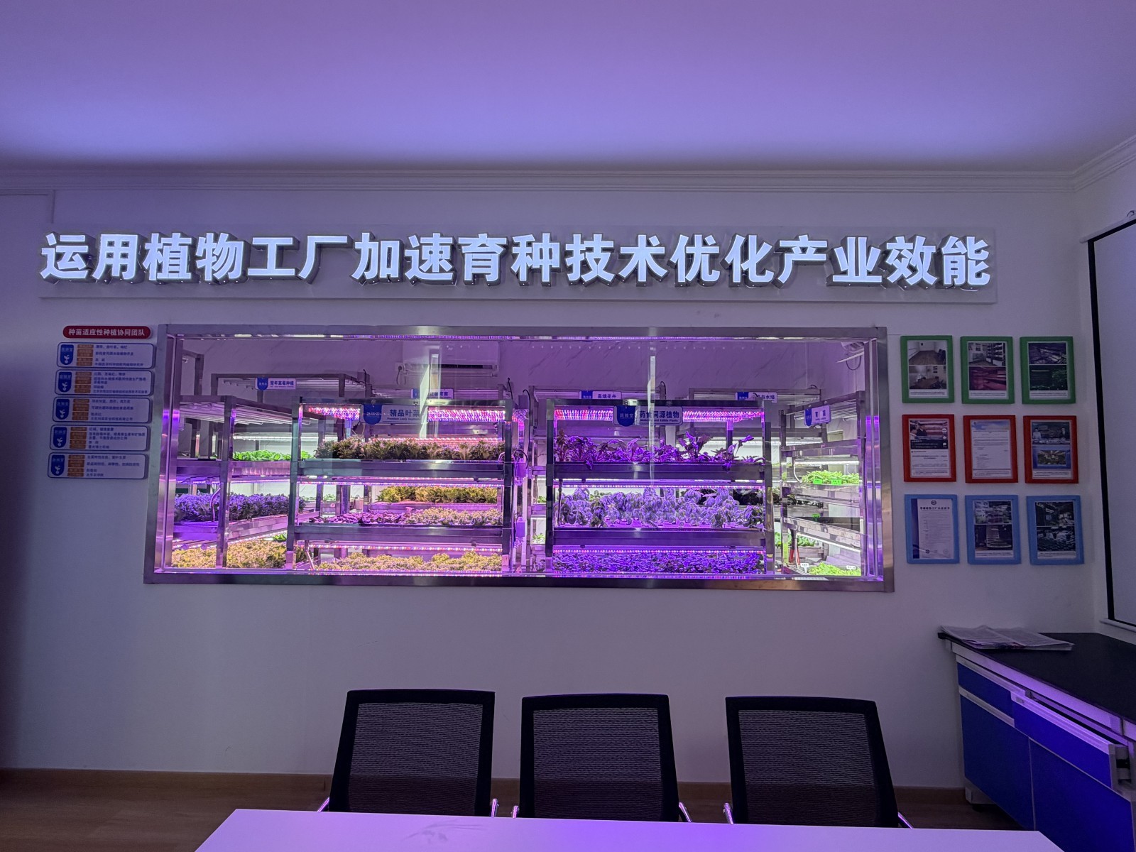 北京平谷:"空中苗圃"科技小院获"零碳植物工厂"认证